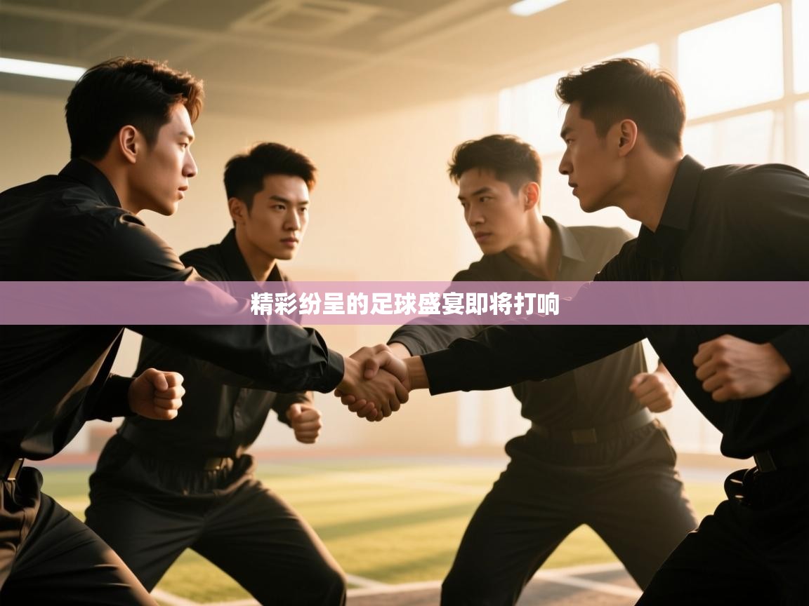 精彩纷呈的足球盛宴即将打响 第1张